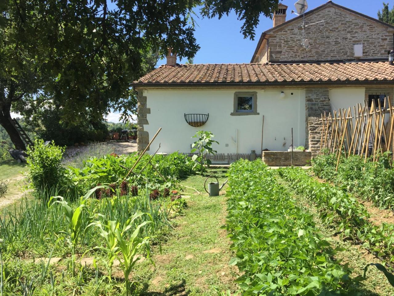 Relais Il Pozzeto Bed and Breakfast Anghiari Eksteriør billede